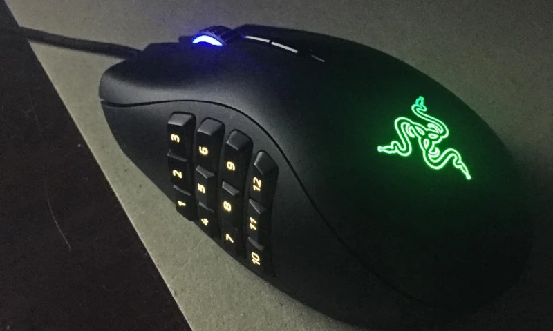 Razer Naga Pro Gaming Mouse