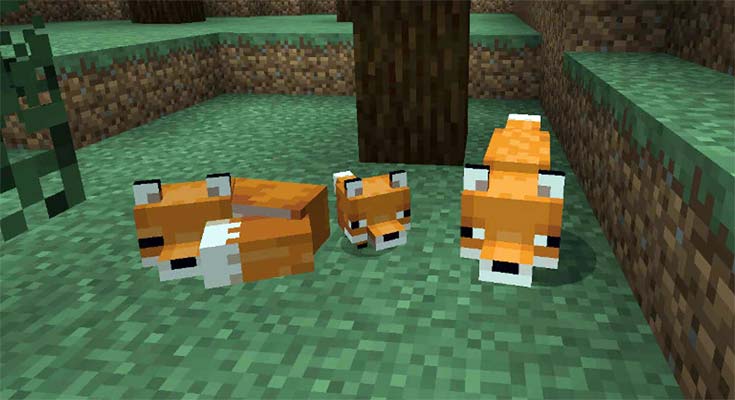 how to tame fox Minecraft