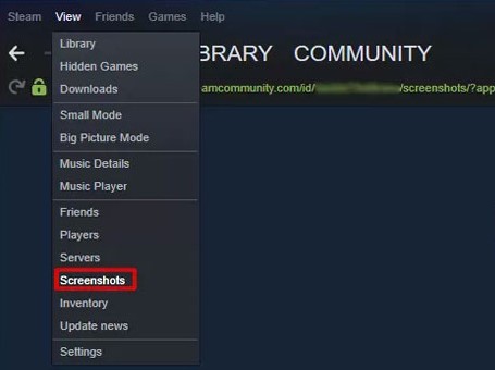 Where do steam screenshots go