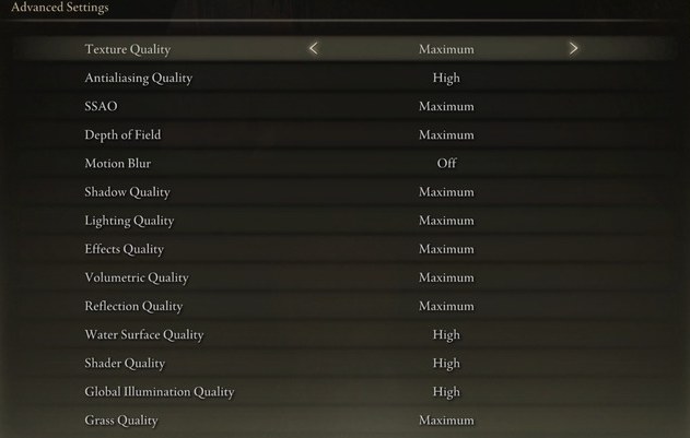 Elden Ring Advanced Settings