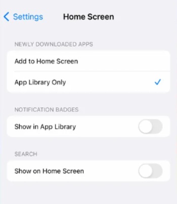 iPhone Home Screen Settings Menu