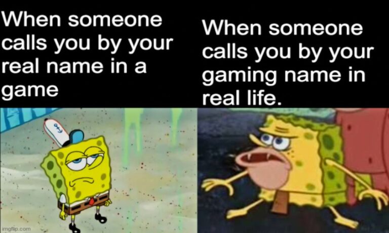 Hilarious Gaming Memes for True Gamer