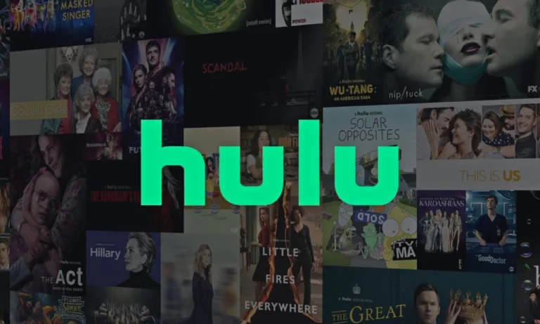 Hulu We Encountered an Error When Switching Profiles Issue Solved