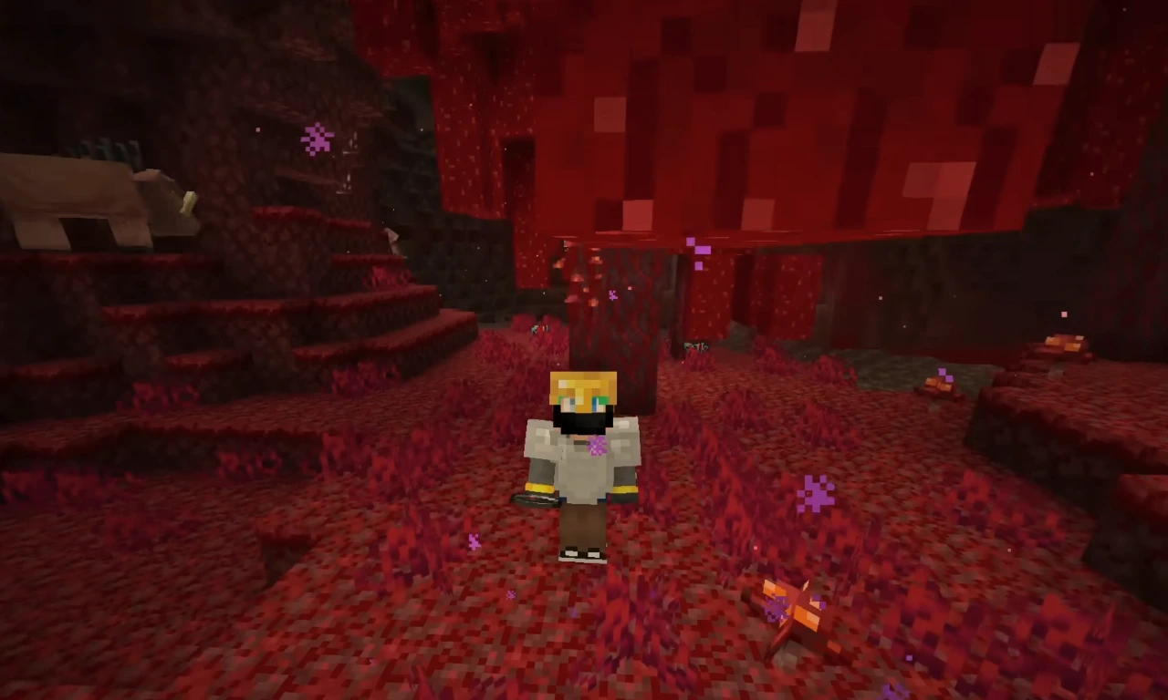 Finding Ancient Debris in Nether