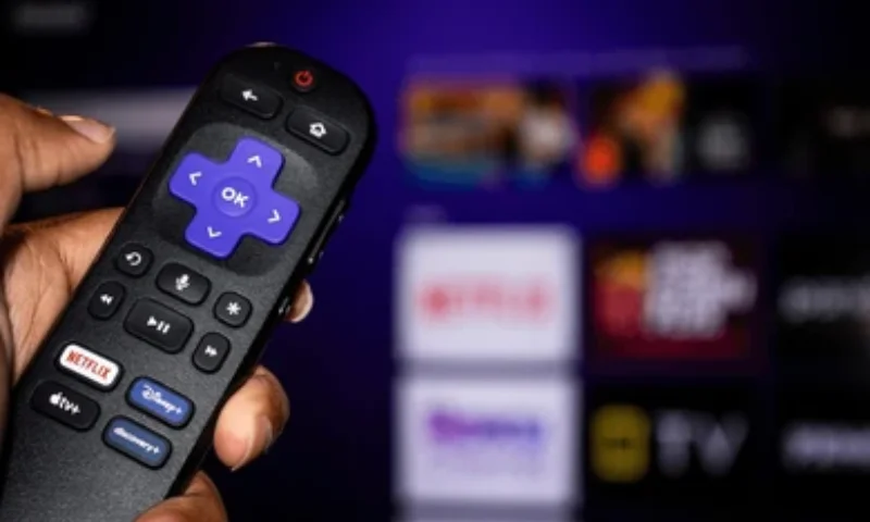 person holding roku tv remote in hand