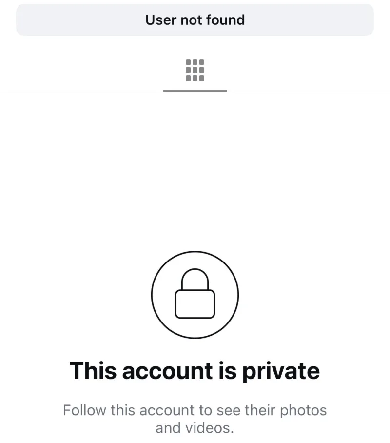 Instagram User Not Found Error View