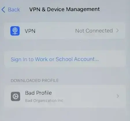 Bad configuration profile listed in iPhone.