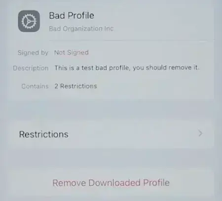 Choose Remove Downloaded Profile on iPhone.