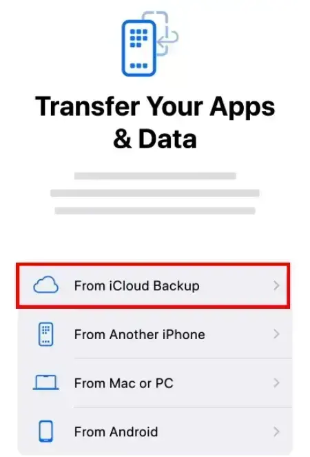 iPhone - tap Restore from iCloud backup option.
