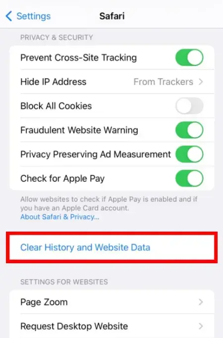 Clear website history and data option marked - iPhone safari cache clear